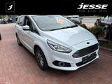 Ford S-Max 2.0 TDCi Titanium Navi SHZ PDC DAB - Ford S-Max: Tdci