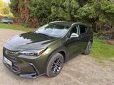 Lexus NX 450h 450h+ E-FOUR Executive Line Executiv... - Lexus Gebrauchtwagen in Aachen