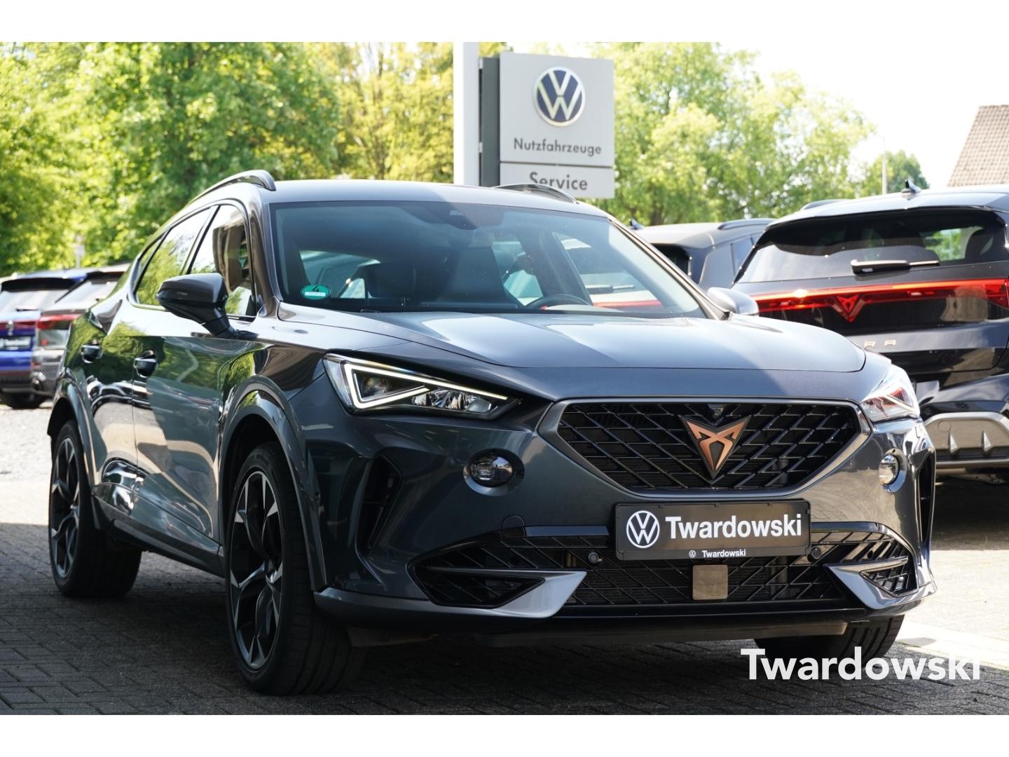 Cupra Formentor VZ 4Drive AHK MEMO 360° Leder LED Sitz