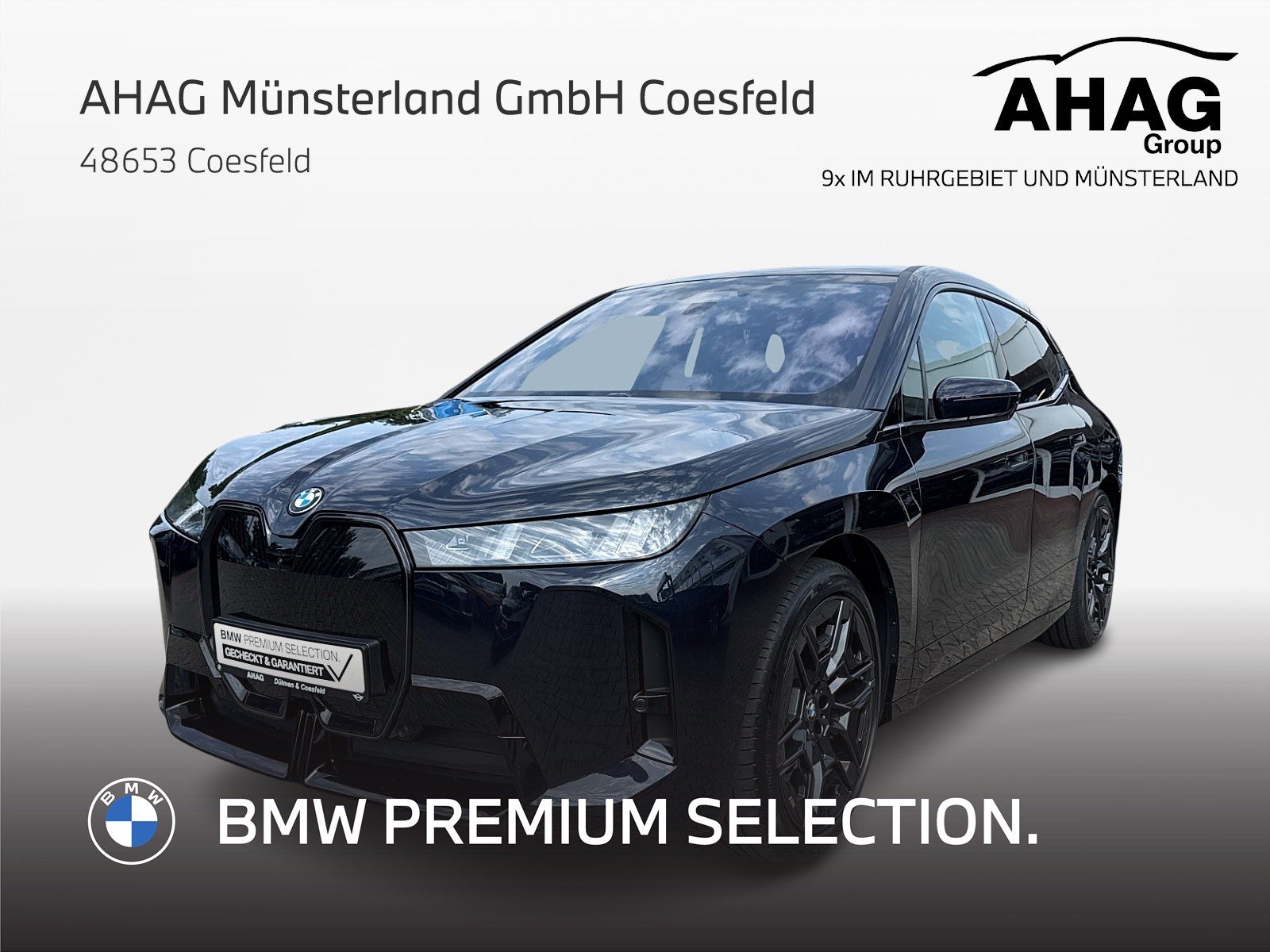 BMW iX xDrive45 M Sport Pro AHK Sky Lounge ACC 360°