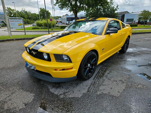 Ford Mustang GT V8 Bumblebee