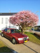 Mercedes-Benz E 220 / W124 - Youngtimer - gebrauchte Mercedes-Benz E 220 aus dem Jahr 1994