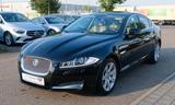 Jaguar XF 2.2 Diesel Automatik Leder Navi Xenon ACC - Jaguar Gebrauchtwagen von 2013