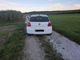 Volkswagen Polo 1.2 TSI 66kW LIFE | 17" Alufelgen - VW Polo Gebrauchtwagen Alufelgen