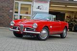 Alfa Romeo Giulietta Spider 1300, hervorragender Zustand - Alfa Romeo Giulietta Oldtimer