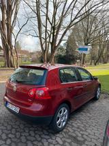 Volkswagen sparsamer PKW von Volkswagen Golf 5 zum Ve... - Sparsame mit Diesel-Antrieb