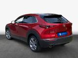 Mazda CX-30 2.0 M-Hybrid SELECTION Navi HuD Voll-LED - Mazda CX-30 aus 2019