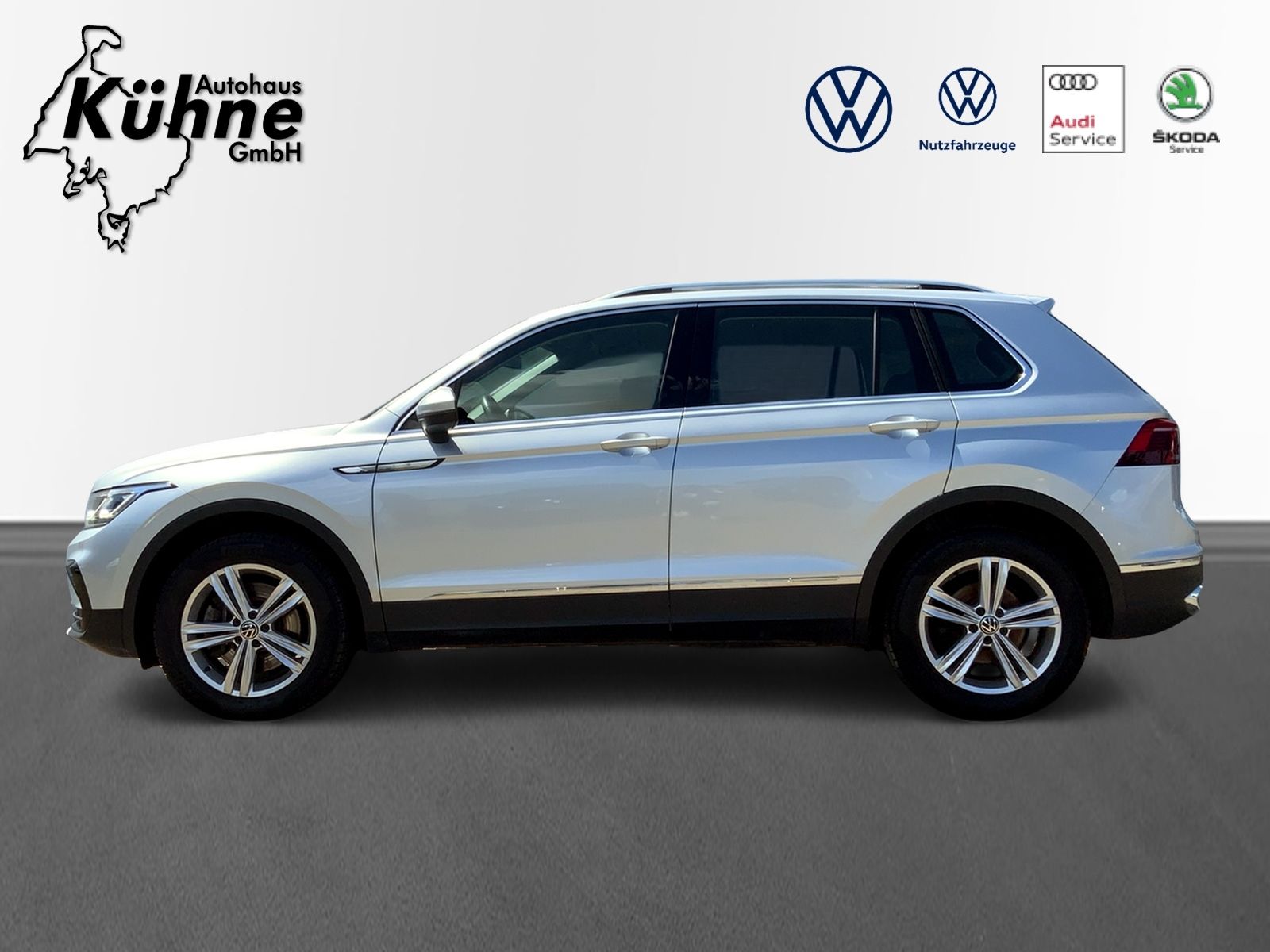 Tiguan 2.0 TDI Elegance 4M, RFK,AHK,STHZ,NAV.