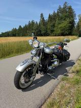 Harley-Davidson FLSTS Heritage Springer 100th Anniversary  - Angebote