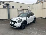 MINI Cooper S Countryman ALL4 |Leder|Pano|Xenon|H/K| - weiße Mini Countryman Serie