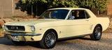 Ford Mustang V8 Coupe 1966 - Ford Gebrauchtwagen von 1966