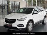 Opel Grandland (X)Innovation/AUT/NAV/SHZ/L-HEIZ/R-KAM - Opel Grandland (X) mit Benzin-Antrieb: Automatik