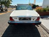 Jaguar XJ12 Double Six Serie 3 Daimler H-KENNZEICHEN - Jaguar Gebrauchtwagen von 1987