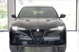 Alfa Romeo Stelvio Quadrifoglio Q4 Pano*H&K*ACC - Alfa Romeo Stelvio Quadrifoglio mit Benzin-Antrieb