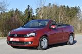 Volkswagen Golf VI*1.2TSI*Cup*Cabrio*PDC*Klima*SHZ*1.Hand - gebrauchte Cabrios