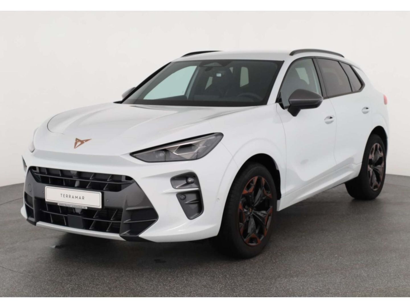 Cupra Terramar - Bild 2
