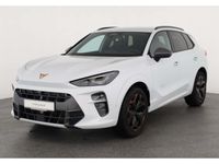 Cupra Terramar - Vorschau Bild 2