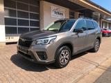 Subaru Forester 2.0ie e-Boxer AWD/Carplay/AHK - Subaru Gebrauchtwagen in Saarbrücken
