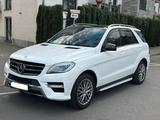 Mercedes-Benz ML 250 BlueTEC 4MATIC-AMG Pa... - : Mercedes Ml