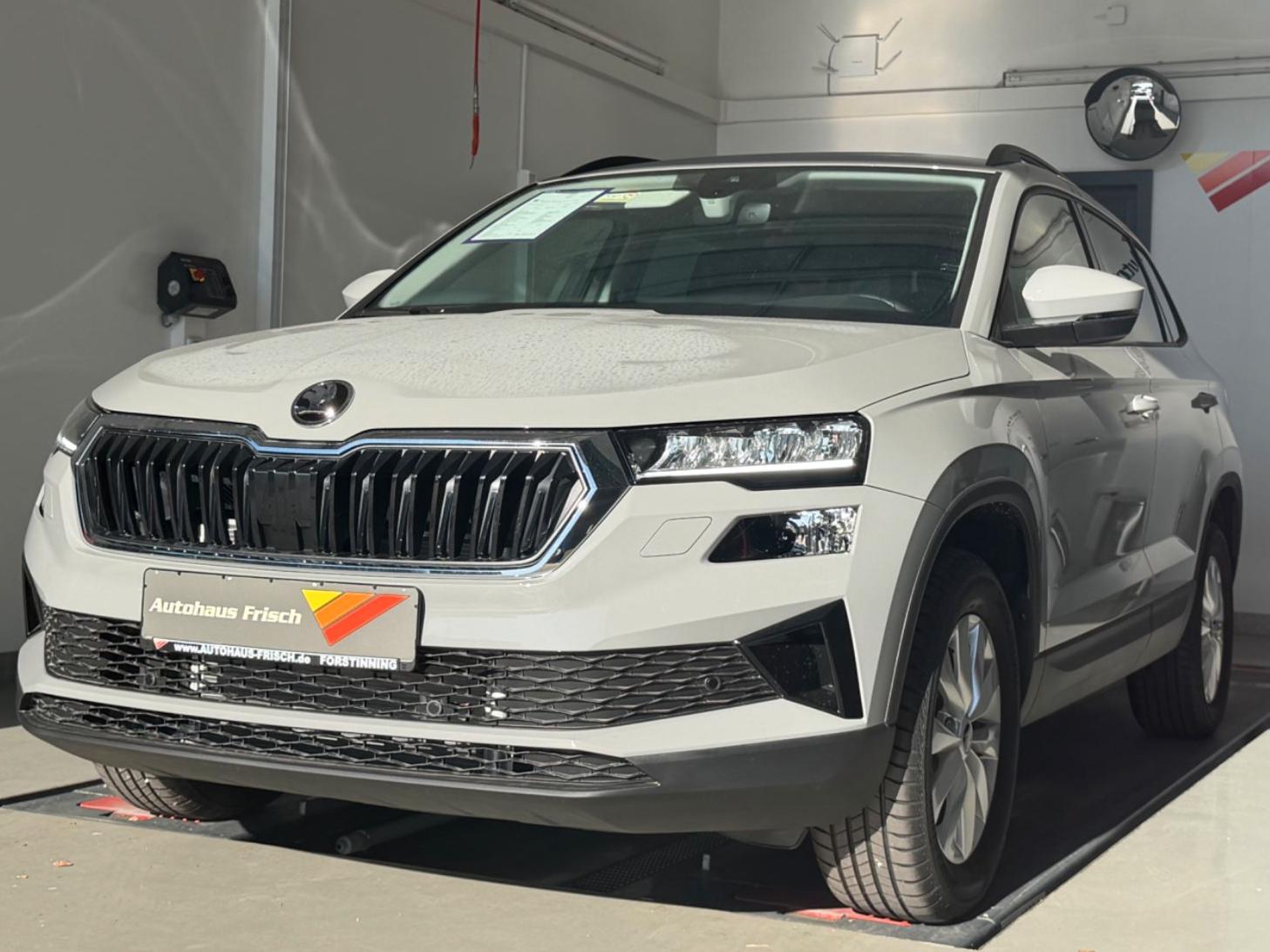 Skoda Karoq Selection*Garantie 5 Jahre*AHK