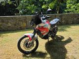 Ducati Desert X - DUCATI X DESERT