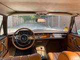 Mercedes-Benz 250 SE  TÜV Gutachten 2+  Leder wie neu - Mercedes-Benz Gebrauchtwagen von 1966