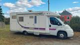 McLouis TANDY 670G - Offers