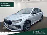 Skoda Scala Selection DSG Anhängerkupplung Vorbereitun