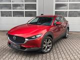 Mazda CX-30 Selection KAMERA|NAVI|HUD|LED|BOSE|SPURASS - Mazda CX-30 aus 2019