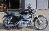 Harley-Davidson Sportster XL1200C Custuom - HARLEY-DAVIDSON 2002 SPORTSTER 1200