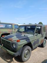Mercedes-Benz Mercedes G Klasse G250 Wolf - Mercedes-Benz G 250 aus 1992