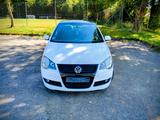 Volkswagen Polo 1.6 GT-Rocket GT-Rocket - Volkswagen Polo: Rocket