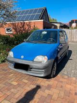 Fiat Seicento 600 TÜV NEU Zahnriemen NEU a... - Fiat Seicento: Kleinwagen