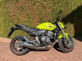 Honda Hornet PC41 CB600FA *TOP Zustand* - HONDA CB600F