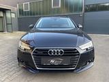 Audi A4 Avant quattro basis MATRIX/ACC/AHK/NAVI - Audi A4: Allradantrieb