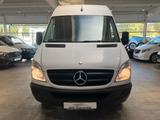 Mercedes-Benz Sprinter 213/316*L2H2*Garantie*Sortimo Regal* - Mercedes-Benz Sprinter: 21