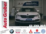 Skoda Karoq Style AHK*PDC*STHZ*Sthz V+H*Kamera*Tempoma