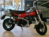 Honda Dax 125 -sofort verfügbar- - POCKET BIKE