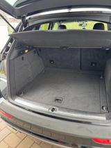 Audi SQ5 3.0 TDI plus tiptronic quattro - - Audi SQ5 von privat