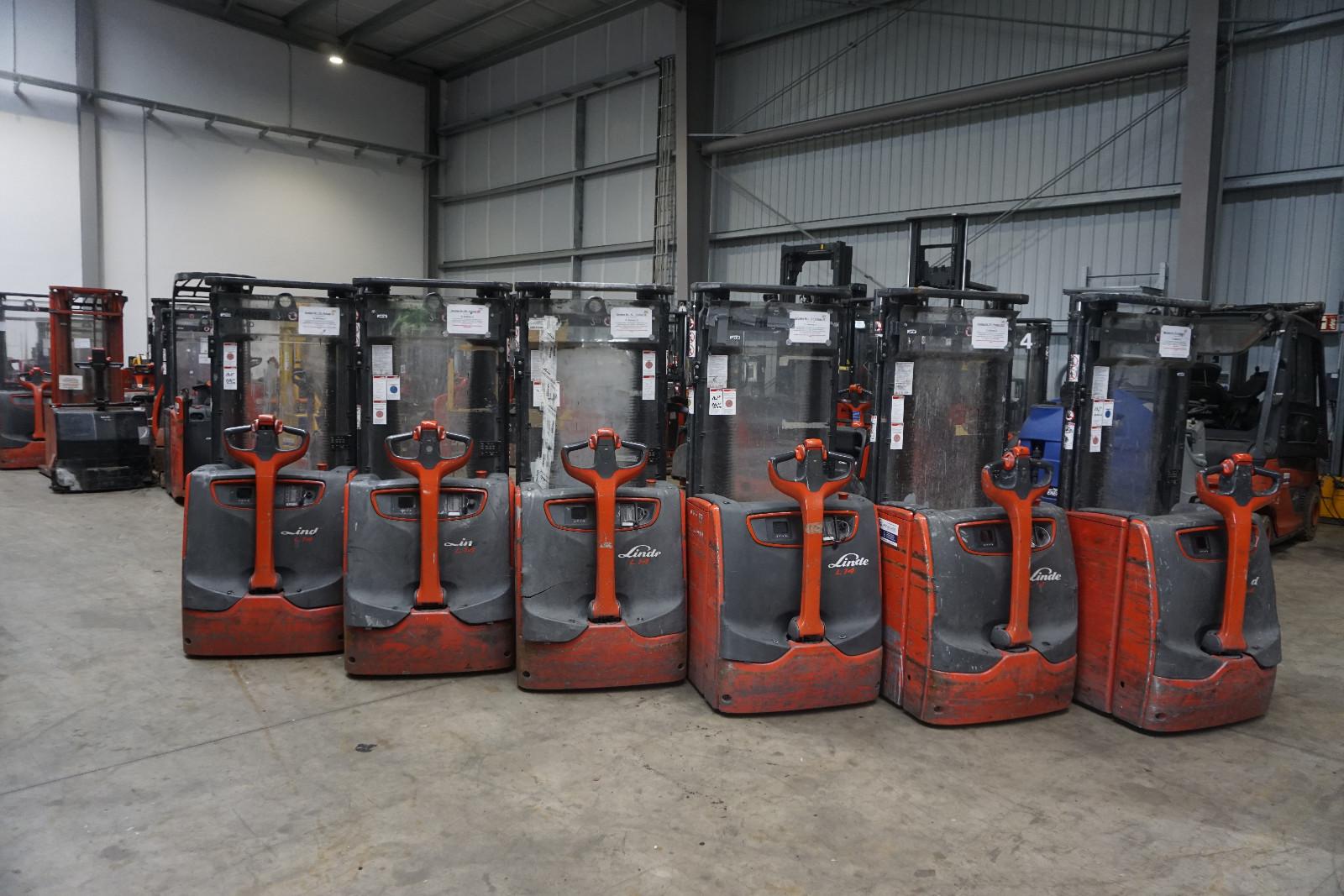 Linde 6x Linde L14 - Paketangebot - 2022er