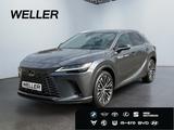 Lexus RX 450h + 2,5 l E-CVT, 4x4 Plug-in 5-Türer EXECU - Lexus RX 450 Tageszulassungen