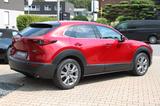 Mazda CX-30 G 2.0 Aut. Selection DESIGN-/PREMIUM-P/AHK - Mazda CX-30 in Essen