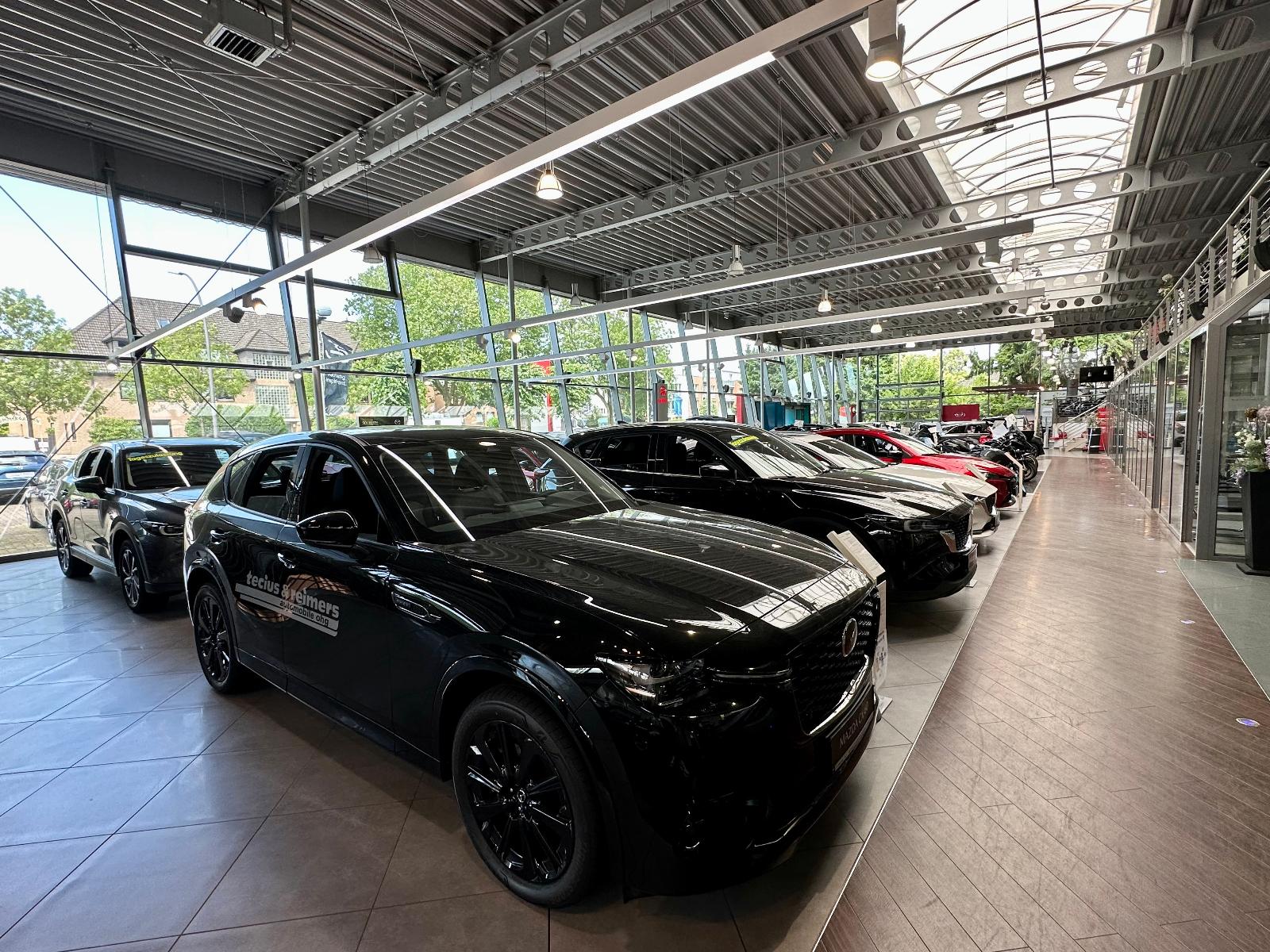 showroom-image-bottom