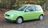 Volkswagen VW Lupo 1.0 Comfortline mit TÜV - Volkswagen Lupo: Comfortline