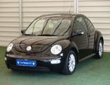 Volkswagen VW Volkswagen New Beetle - Volkswagen New Beetle: Kleinwagen