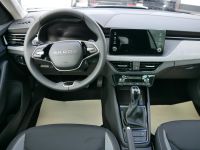 Skoda Kamiq - Vorschau Bild 11