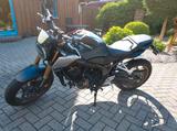 Honda CB650R neo Café Racer blue Jeans matt - HONDA CB CAFE RACER