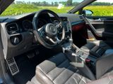Volkswagen Golf GTI Performance  - Volkswagen Golf: Leder, GTI