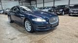 Jaguar XJ - gebrauchte Jaguar XJ aus dem Jahr 2011