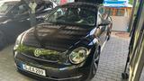 Volkswagen Beetle 2.0 TDI Fender Edition Xenon Navi Pano - Volkswagen Beetle: Fender Edition
